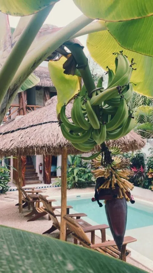 ***  Caribena Hotel Tulum Mexico
